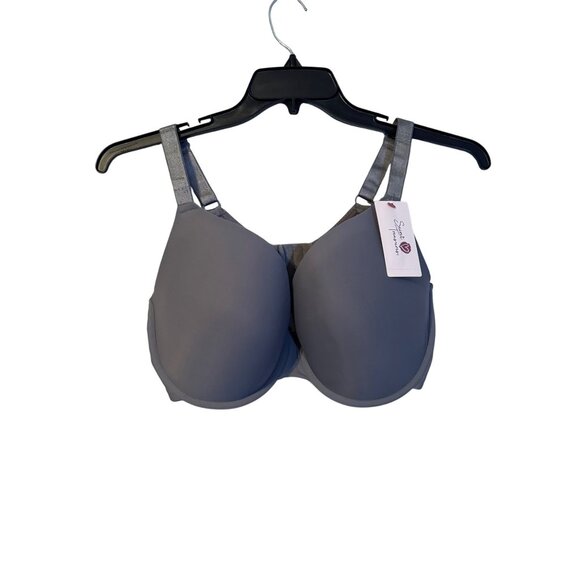 Full Coverage Gray Bra With Adjustable Straps & Supportive Fit 42D By Scent Trea - Picture 1 of 12